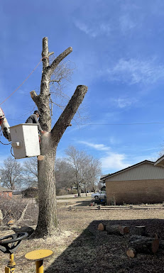 Jonesboro Tree Service