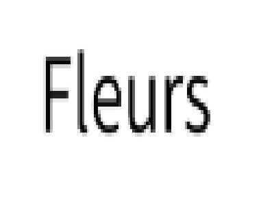 Fleurs