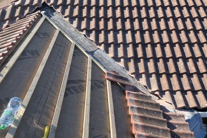 Whelan Building Services