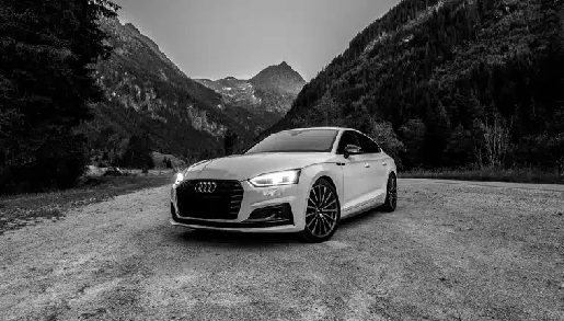 Central Audi & VW Specialists