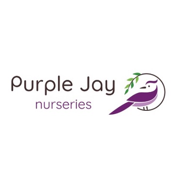 Purple Jay Peckham Rye