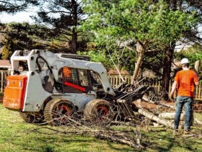 Westfield Tree Care Specialists