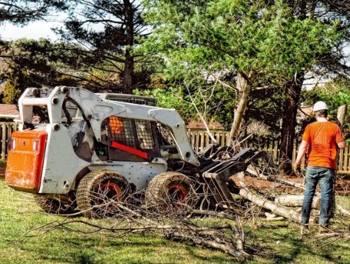Westfield Tree Care Specialists