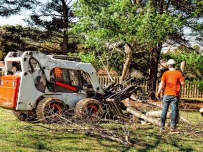 Jamestown Tree Care Masters