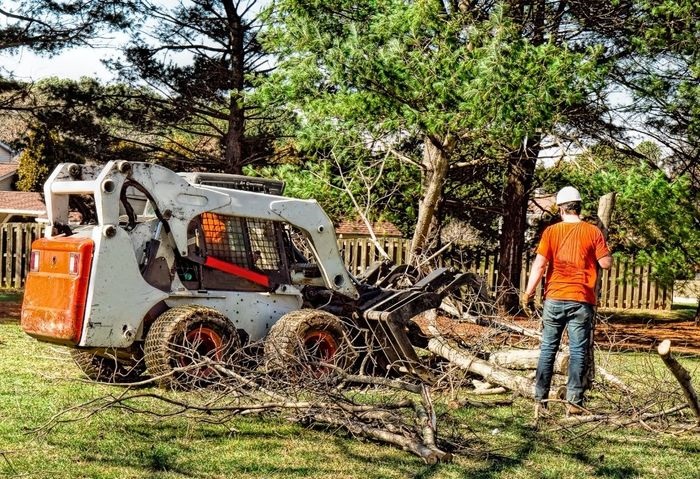 Jamestown Tree Care Masters