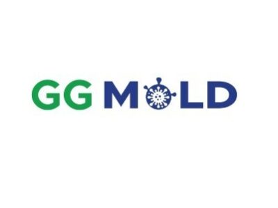 Green Guard Mold Remediation of Commack