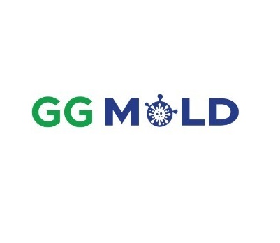 Green Guard Mold Remediation of Commack