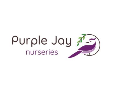 Purple Jay Lambeth