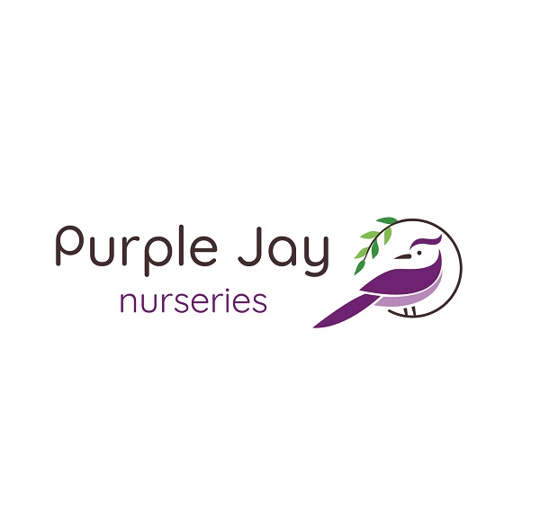 Purple Jay Lambeth