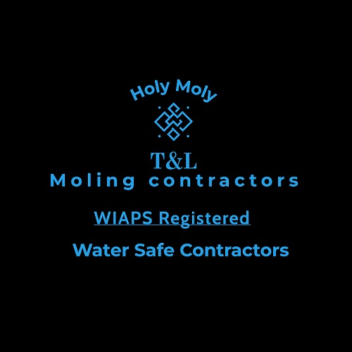 T&L Moling Contractors