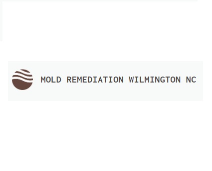 Mold Remediation Wilmington NC Professionals