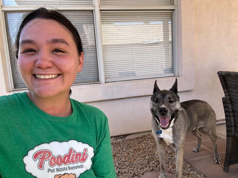 Poodini Pet Waste Removal