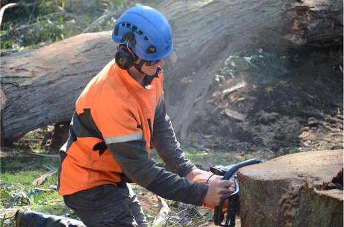 Urban Tree Solutions