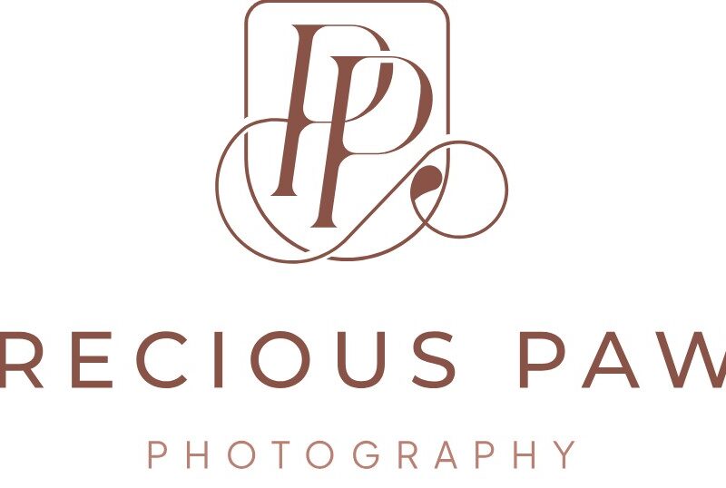Precious Paws Photography