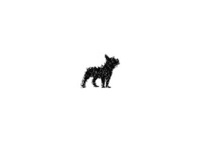 Frenchie Doodle