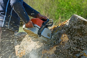 Elmont Tree Services