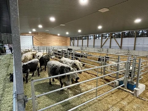 Trestle Creek Cattle Company