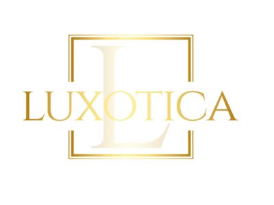 Chauffeur Privé à Nice - Luxotica