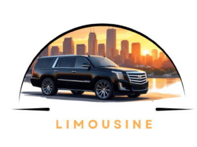 City view limousine inc