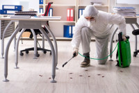 Stellar Mountain View Pest Control