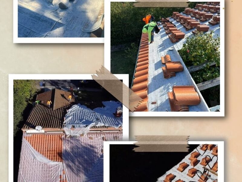Skyline Energy Roofing and Skyline Builders