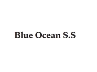 Blue Ocean Strategy & Service
