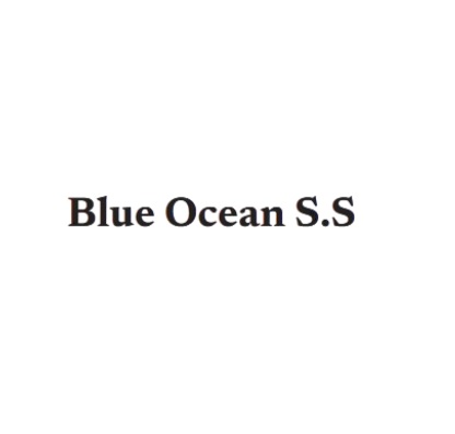 Blue Ocean Strategy & Service