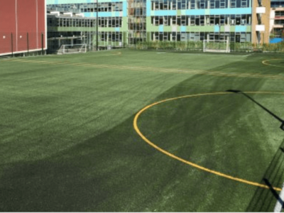 Synthetic Turf Company Ltd