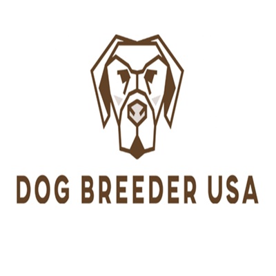 Dog Breeder USA