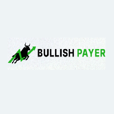 Bullish Payer Ltd