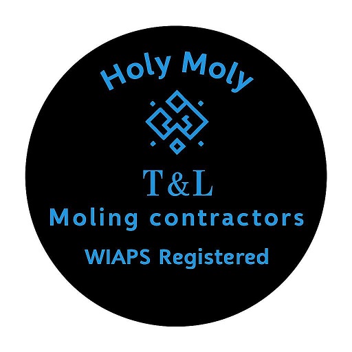 T&L Moling Contractors