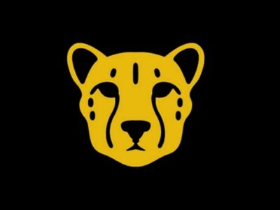 Sabi Sands Lodges Reservations