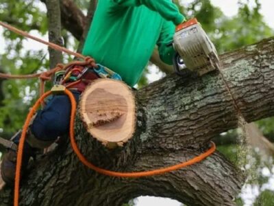 Big A's Avon Tree Service
