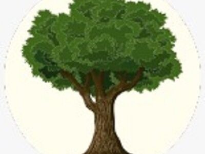 Rohnert Park Tree Services