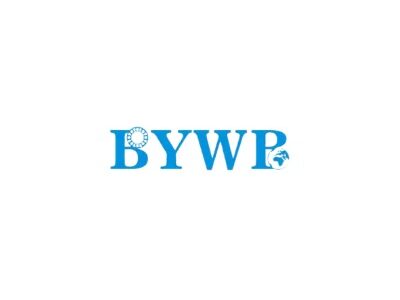 BYWB Bearing
