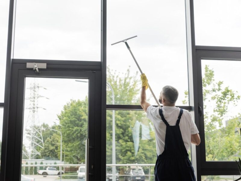 Santa Monica Window Cleaning