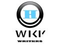 Hire Wiki Writers