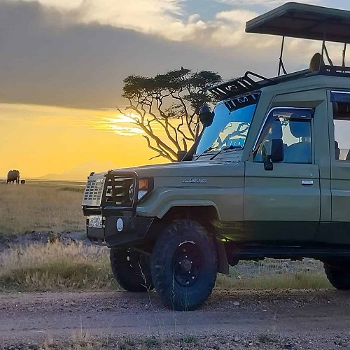 Bon Africa Tours & Safaris