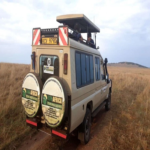 Bon Africa Tours & Safaris
